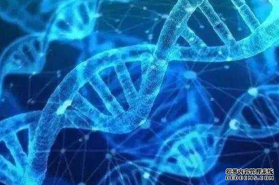 天津供卵试管联系方式 天津医大总医院试管婴儿详细过程 ‘孕十二周nt1,心跳163是女孩吧’