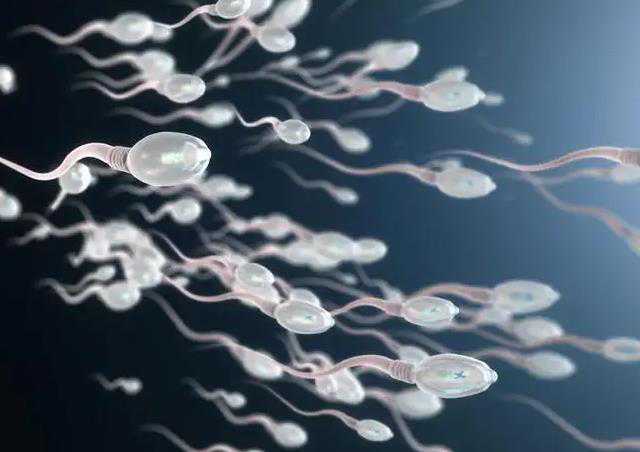 上海借卵试管过程 2022上海中山医院试管婴儿成功率: ‘b超如何测男女’
