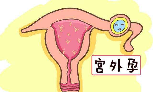 内蒙古医院试管成功率及费用情况,内蒙古北大医院做试管多少钱手术成功率高吗
