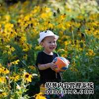 试管是不是都包成功,不成功要退钱的那种?
