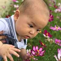 荆州供卵试管 2023年荆州哪里可以做试管婴儿? ‘b超单哪里能看出是男是女’