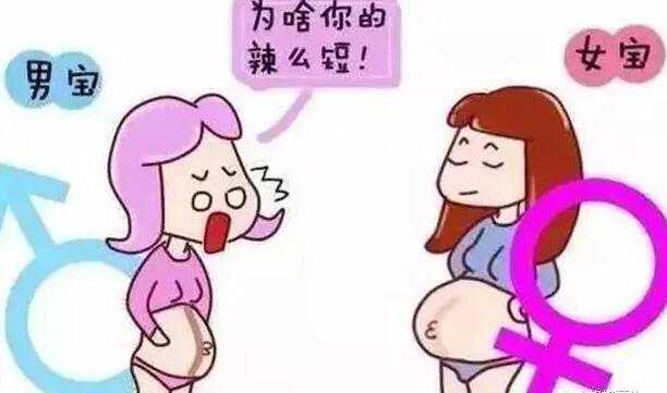 中山附一试管 上海中山医院试管成功经验分享： ‘营口伊人26周四维看男女准么’