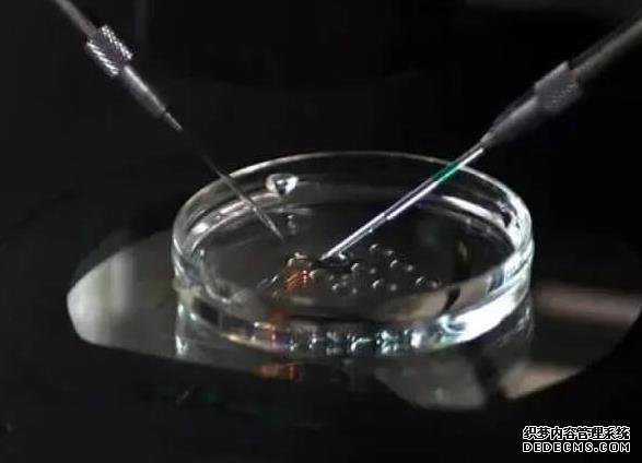 玉林市妇幼保健院试管婴儿技术怎么样?成功率多少?