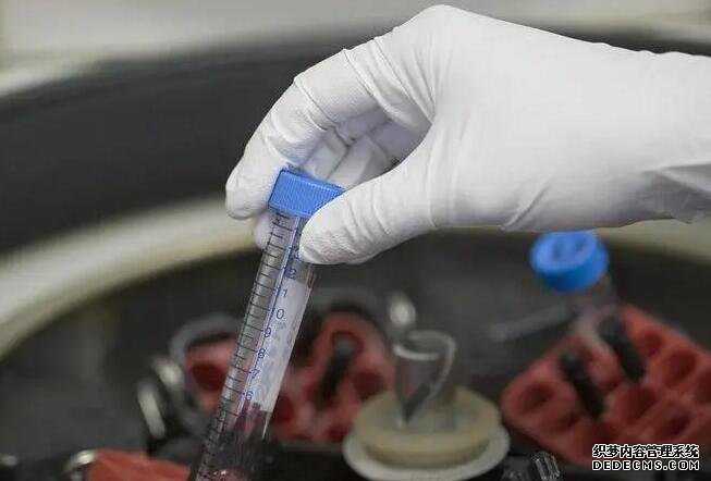 西安机构代孕套餐 西安冻卵需要多少费用 ‘孕晚期女宝b超橘子瓣壮图片’