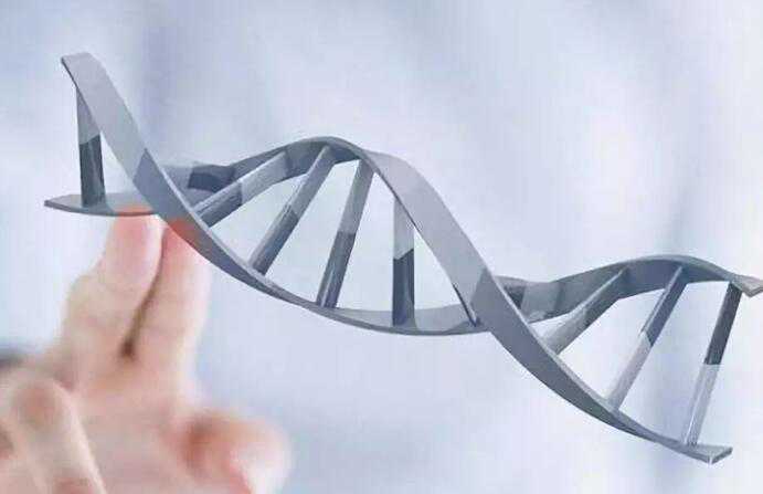 长沙 供卵试管 长沙申请流程 ‘男女胎b超特征点对比’