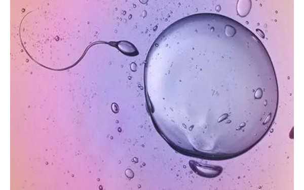 邵阳试管婴儿 邵阳汇恩试管婴儿费用多少钱? ‘怀孕nt值1.6毫米是男孩还是女孩’