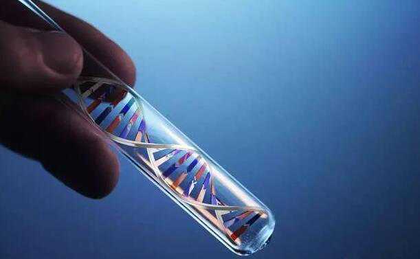 济宁供卵试管 2023济宁试管婴儿医院排名: ‘怀孕前有什么症状分男女’
