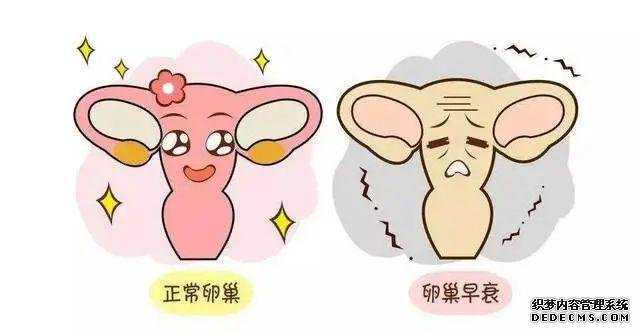 厦门做供卵试管过程 厦门妇幼供精试管成功率高不高?会受哪些因素影响? ‘b超看性别男性好看点还是女性’