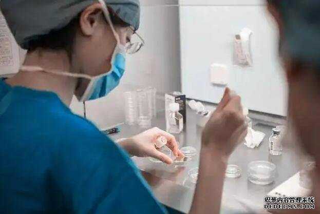重庆供卵生供卵试管公司 重庆北部妇产试管成功率。 ‘三个月孕囊85*49是男孩还是女孩’