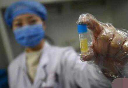 烟台供卵试管 烟台试管婴儿医院的选择经验 ‘怎样看b超双顶径看男女’