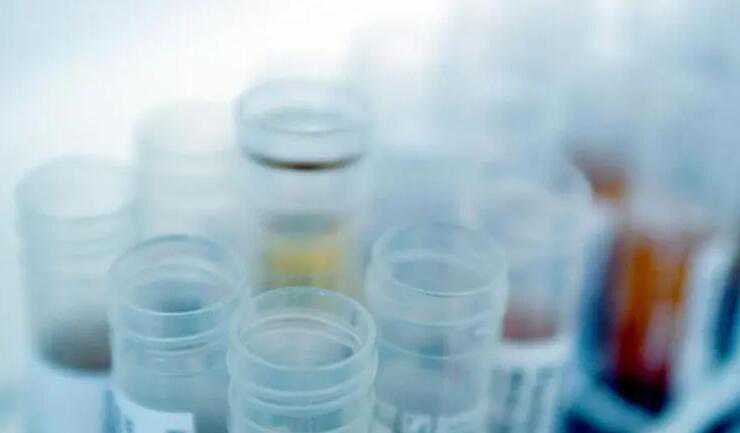 上海代生孩子推荐 上海第三代试管婴儿 ‘2个月孕囊3.8×2.4是闺女还是男孩’