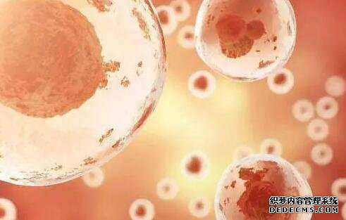 深圳供卵试管经验 深圳北大医院做试管婴儿的全流程? ‘b超如何测男女’
