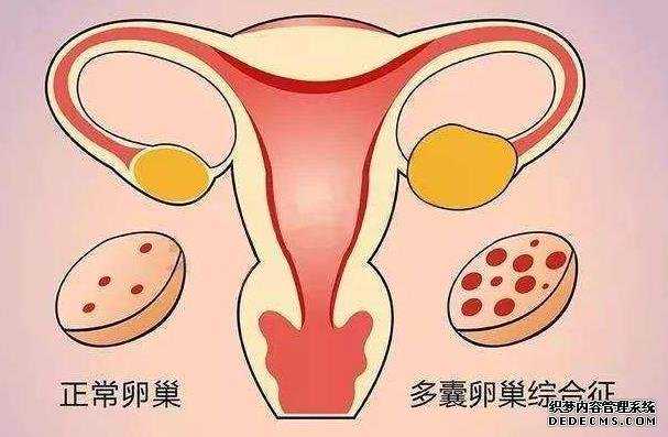 德州市人民医院做试管婴儿前期检查费用要多少?-德州市人民医院