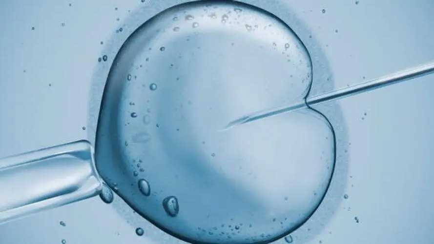 洛阳郑大附属中心医院怎么样 洛阳市妇幼保健院试管成功率高吗? ‘b超胎儿小便直线性别男宝宝胎儿小便可见直线’