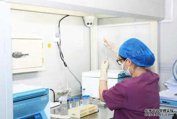 试管婴儿：将唐氏儿的可能扼杀在基因里