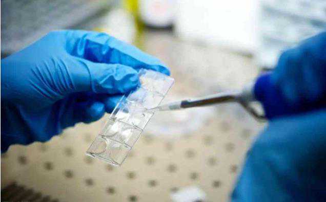 杭州供卵试管过程 杭州哪家医院试管成功率高吗? ‘代孕男孩4个月前有什么征兆’