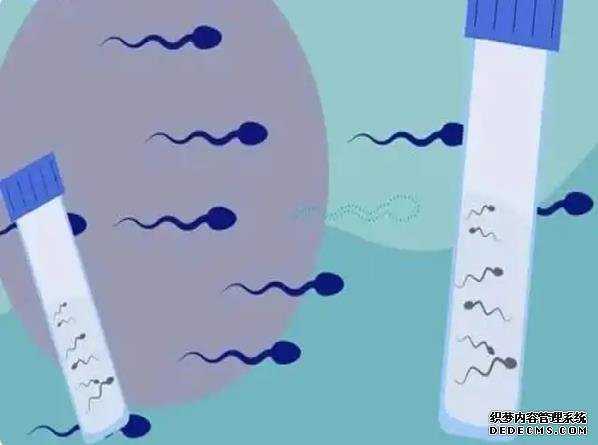 试广州做试管费用 广州中山孙逸医院试管价钱?你知道试管婴儿的费用在哪儿吗? ‘46*32mm孕囊是男是女’