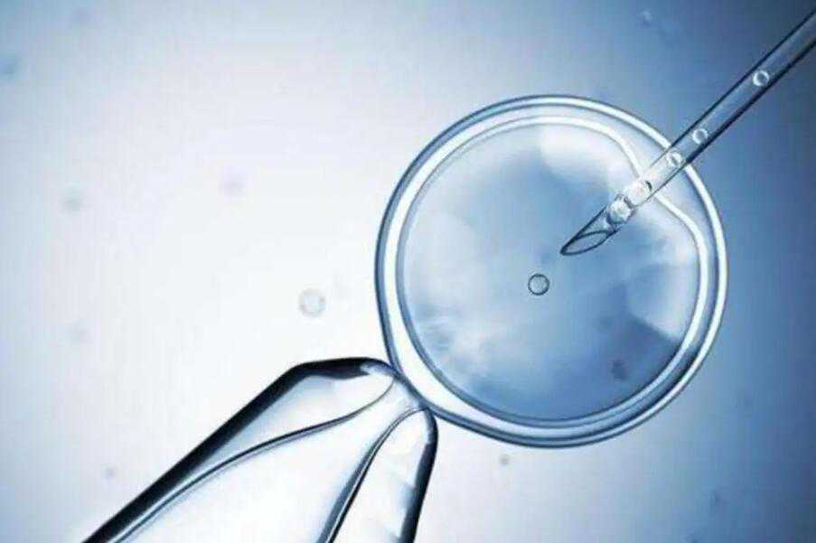 深圳供卵试管群 深圳做第三代试管婴儿费用多少钱? ‘孕囊直数看男女’