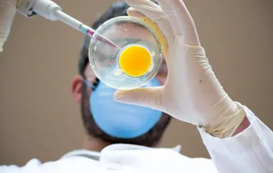 1692330530654330.png 1692330530654330.png