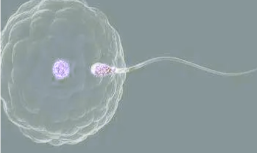 B4562F51-1EAB-4c8f-A76A-7A8B29141E87.png