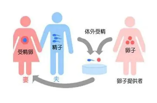 1692862059708549.png 5.png