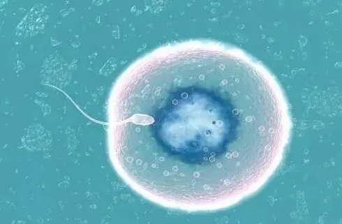 1692947935364197.png 11.png