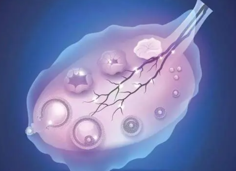 1693291096509138.png 1693291096509138.png