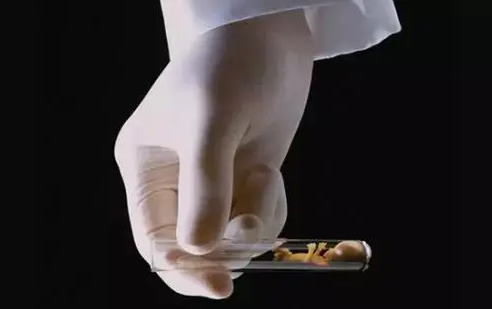 1693465876843609.png 55.png