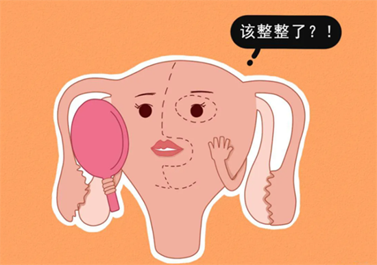 1694157255614991.png 76.png
