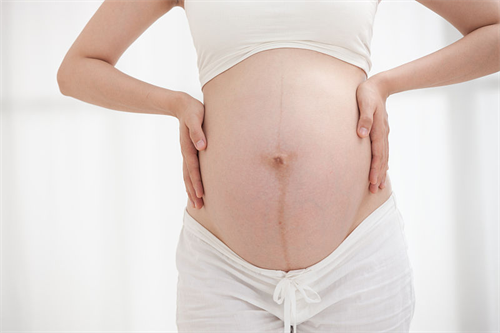 1695017690227557.png 孕53.png