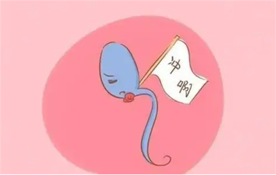 1695707041720033.png 81.png