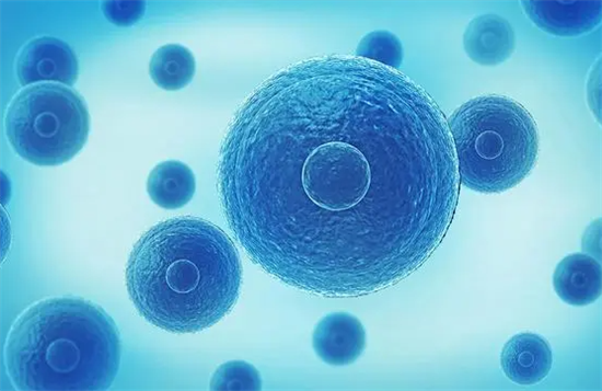 1695712288729782.png 1.png