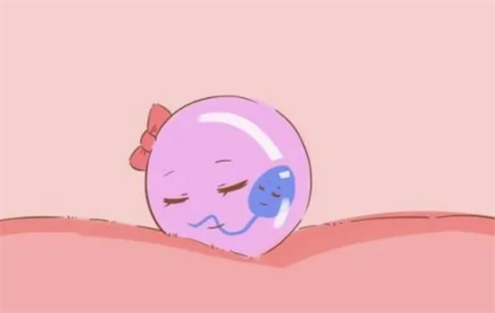 1696919833680347.png 74.png