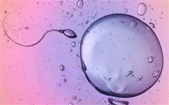 1697092516765507.png 10.png