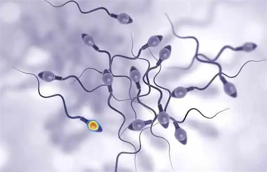 1697788031303087.png 97.png
