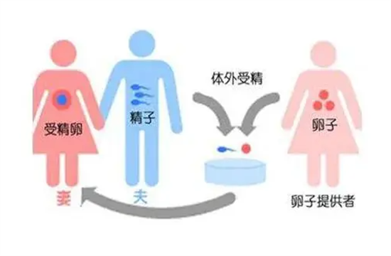 1698040030102938.png 5.png