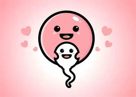 1698131727180460.png 29.png