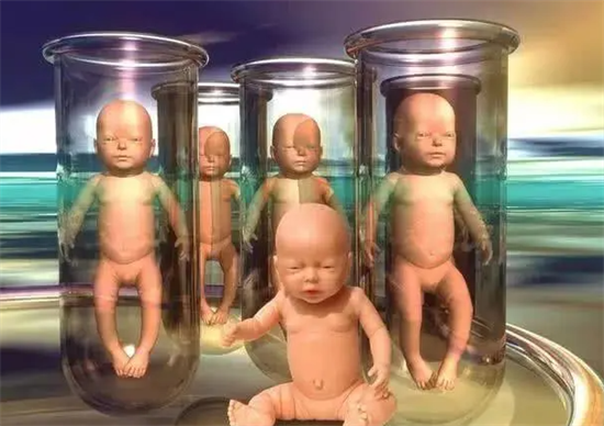 1700035865323962.png 5.png