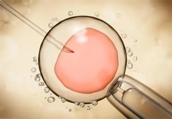 1700465776867233.png 62.png