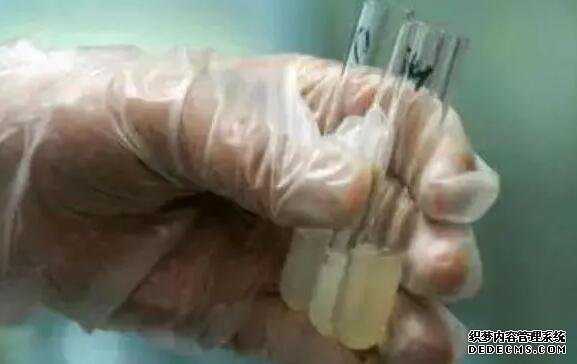 月经是由于什么造成的,了解这几个阶段