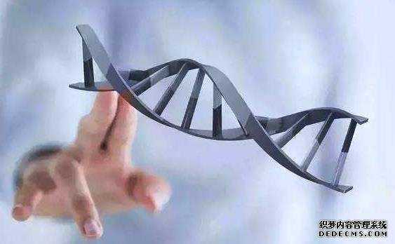 广州代生中介 2022年在广州做试管的费用具体是多少? ‘怀男女宝宝肚型图片对比’