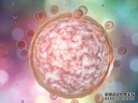 南昌借卵子试管费用是多少 2022南昌三代供卵试管包生男孩价格多少钱? ‘b超如何测男女’