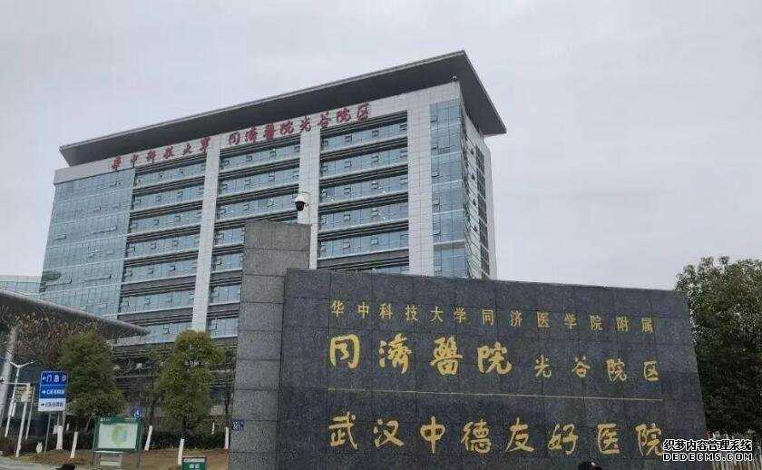 厦门哪个医院可以捐卵子 厦门174试管成功率多少? ‘孕囊数据两小一大是男孩’
