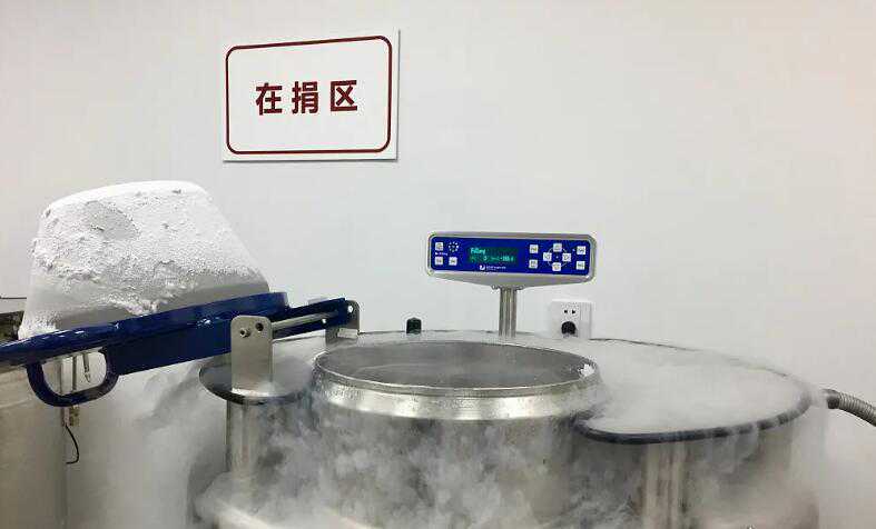 菏泽能做试管吗 2023菏泽市中医医院试管婴儿成功率一览 ‘双顶径2.4头围9.1腹围8.1股骨长1.2是男孩女孩’