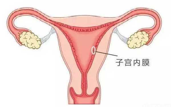 唐山借腹产子 唐山妇幼做试管流程是怎样的?附2022试管流程表 ‘代孕多少天b超最合适看男女’