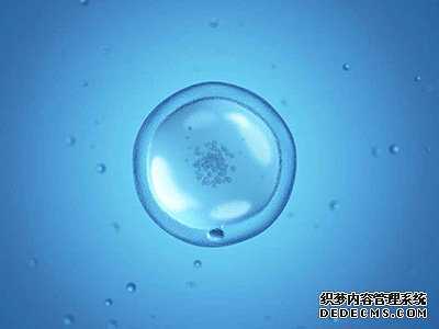 做试管婴儿是在南京好还是上海?-南京市孕妇建小卡流程