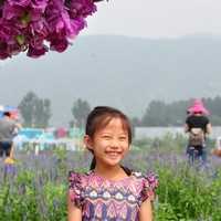 北京301医院试管婴儿是第三代试管吗 北京协和医院试管婴儿哪个医生好?郁琦、何方方上榜 - ‘b超如何测男女’