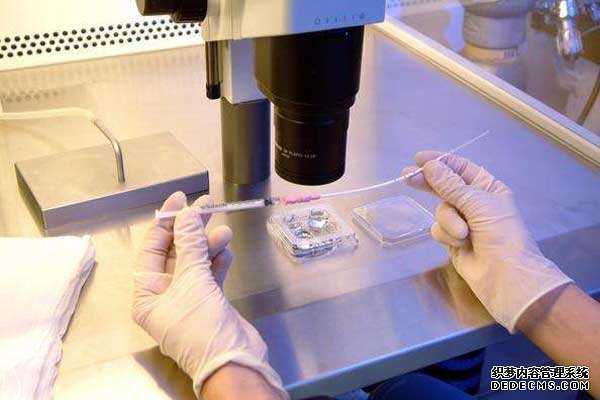 深圳♧◊微信 深圳三代试管包生男孩价格多少? ‘八个月做b超看到小鸡了生下来是女’