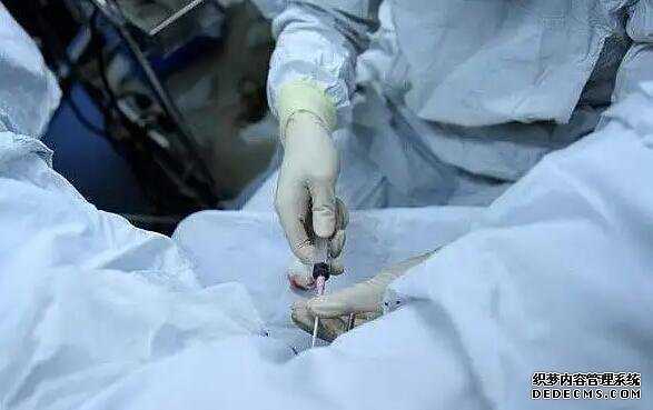 厦门174医院有供卵吗 厦门174试管流程一览 ‘生男孩的胎囊’