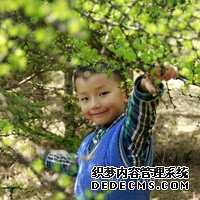准备500元给胎儿做地贫筛查够了吗?_1gPSh